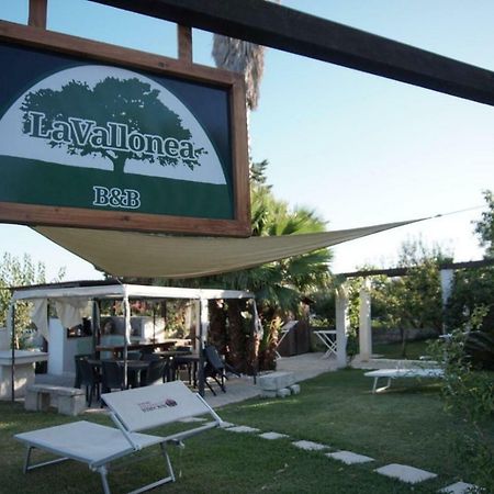 La Vallonea Casamassella Экстерьер фото