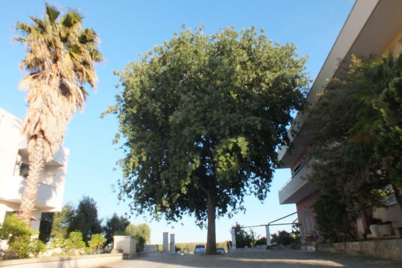 La Vallonea Casamassella Экстерьер фото